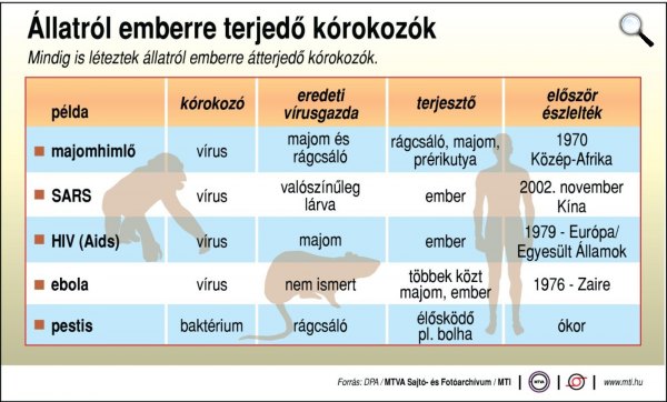 Állatról emberre terjedő kórokozók (Forrás: DPA/MTVA)