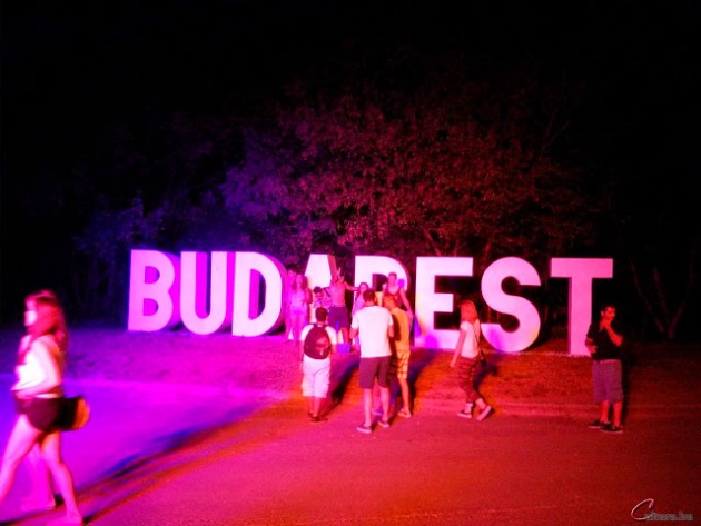 Sziget Fesztivál, 2014 (Fotó: Cultura.hu)