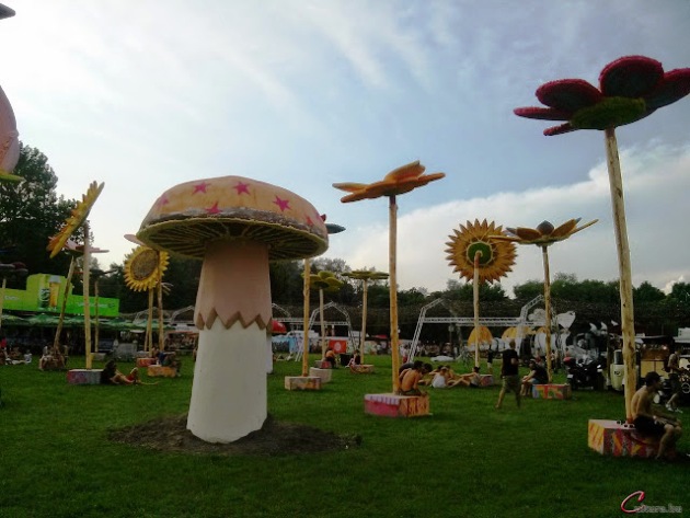Sziget Fesztivál, 2014 (Fotó: Cultura.hu)
