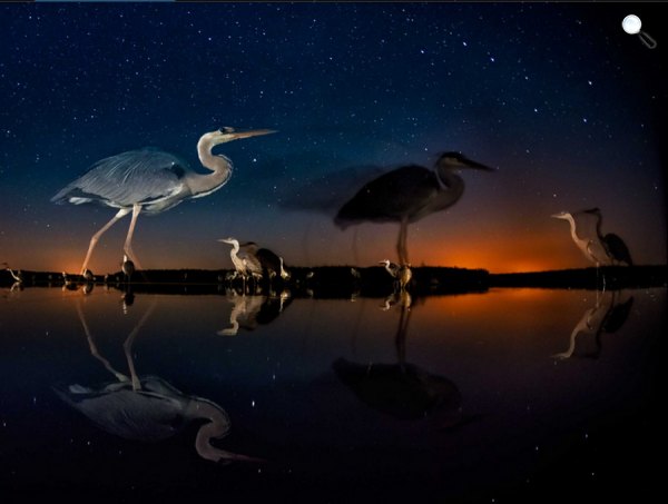 Fotó: Maté Bence: Nagy Göncöl (Forrás: Bence Mate\'s Photography, Facebook)