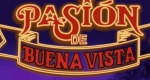 Pasión de Buena Vista