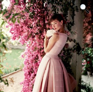 Audrey Hepburn, 1955 (Fotó: Norman Parkinson/National Portrait Gallery)