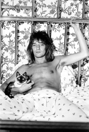 Rod Stewart macskával (Fotó: Listal.com)