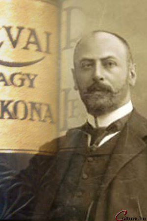 Révai Mór János könyvkiadó, a Révai Nagy Lexikona 1900 (Fotó: Erdélyi Mór/MEK, Cultura)