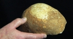 55 ezer éves emberi koponya, Manot, Izrael (Fotó: Clara Amit, courtesy of the Israel Antiquities Authority)