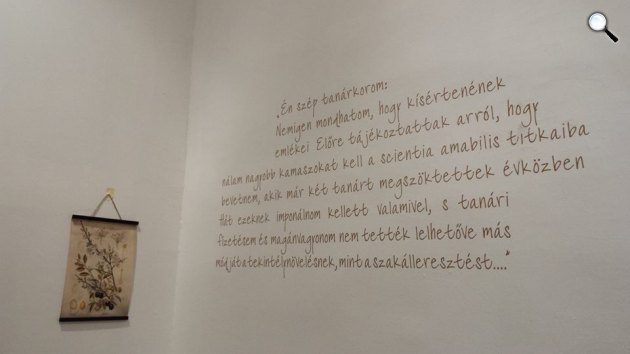 Móra Ferenc mesebirodalma a Cifrapalotában