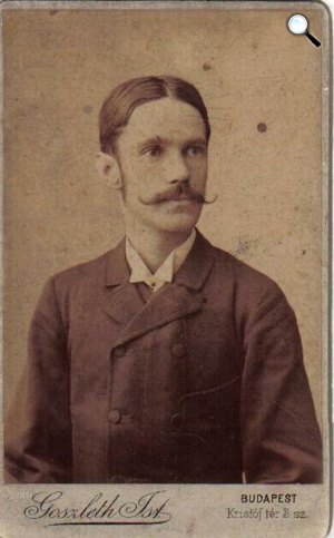 Reviczky Gyula író, költő (Fotó: Goszleth István/PIM)