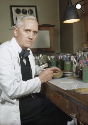 Alexander Fleming, a penicillin felfedezője (Fotó: Wikipédia)