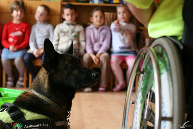 NEÓ Segítőkutya Egyesület - Rehab Critical Mass