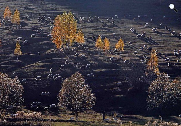 Erdély madártávlatból - Marosfő - Fodor István fotója (Fotó: Fodor István/Facebook)