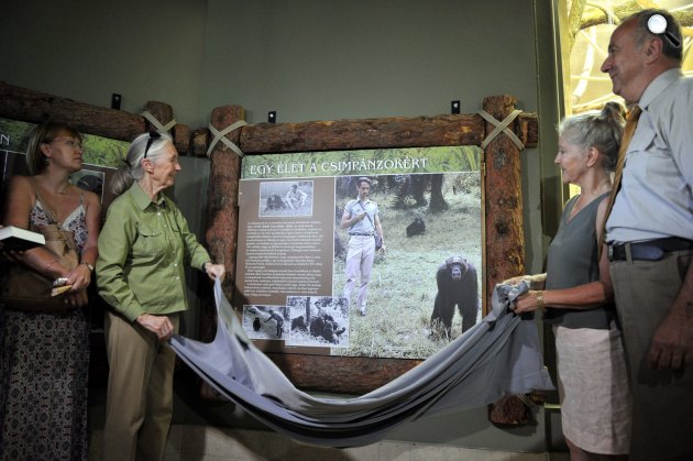 Jane Goodall etológus, antropológus, főemlőskutató (b2), Heather Teleki, Teleki Géza özvegye (j2) és Persányi Miklós, az állatkert főigazgatója (j) felavatják Teleki Géza antropológus, főemlőskutató emléktábláját (MTI Fotó: Kovács Attila)