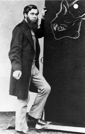 Thomas Henry Huxley egy gorilla koponyáját rajzolja 1870-ben