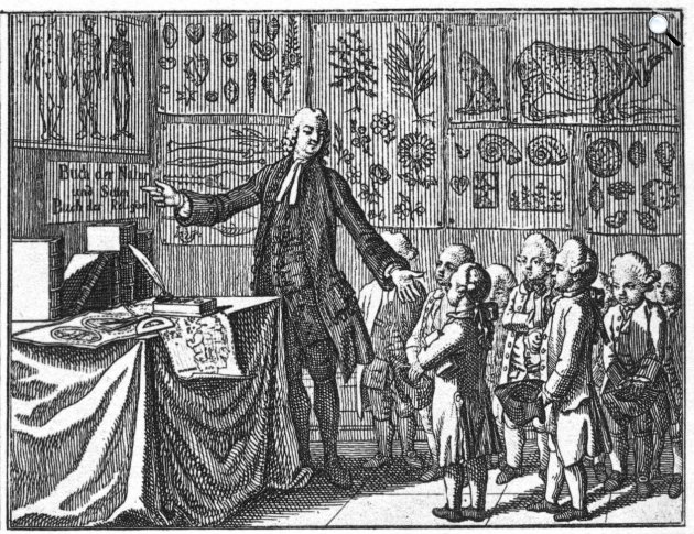 Daniel Chodowiecki: J. B. Basedows elemi iskolája, illusztráció, 1774 (Fotó: Wikiart)