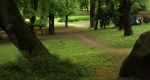 Városmajor, Budapest, a park egy részlete (Fotó: Wikipédia)