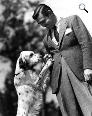 Clark Gable színész és kutyája, Bob (Fotó: listal.com)