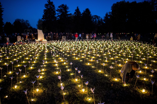A Szemem Fénye Alapítvány megemlékezése, mécsesek, Pécs (MTI Fotó: Sóki Tamás)