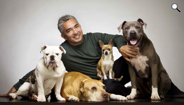 Cesar Millan kutyaidomár