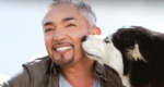 Cesar Millan kutyaidomár (Fotó: cesarsway.com)