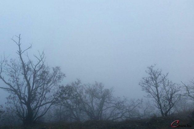 Köd a Nagy-Kevélyen, 2015 (Fotó: Bernd Bleiel/Cultura.hu)
