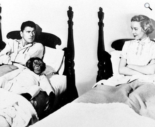 Bedtime for Bonzo - Ronald Reagan és Diana Lynn, 1951 (Fotó: listal.com)