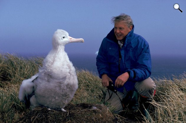 Bolygónk, a Föld - David Attenborough (Fotó: bbc.co.uk)