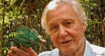 Bolygónk, a Föld - David Attenborough (Fotó: bbc.co.uk)