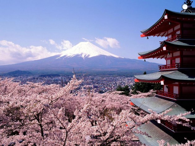 Cseresznyefa virágzása, sakura, Japán (Fotó: Japánspecialista)