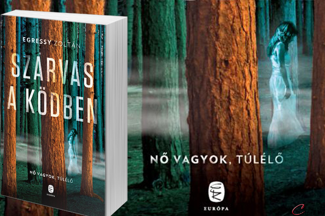 Egressy Zoltán: Szarvas a ködben Egressy Zoltán: Szarvas a ködben