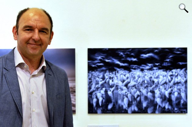 51. Wildlife Photographer of the Year/Év természetfotósa kiállítás, Kudich Zsolt: Nagy kócsagok ébredése (MTI Fotó: Kovács Attila)
