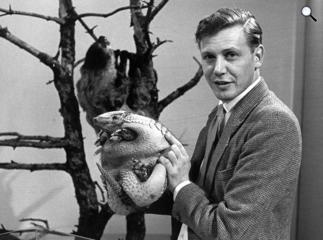 David Attenborough brit természetfilmes, 1963 körül (Fotó: bbc.co.uk)