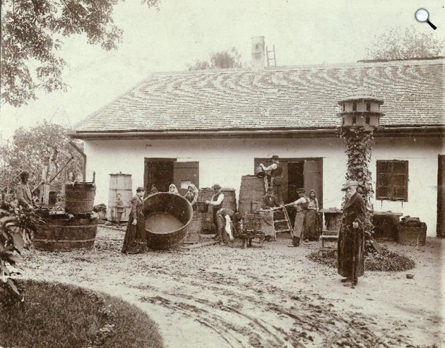 Jókai Mór a Svábhegyen szüret idején, 1898 (Fotó: PIM)