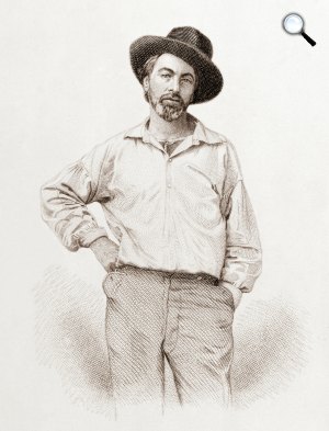Walt Whitman, 1854 körül (Fotó: babelio.com)