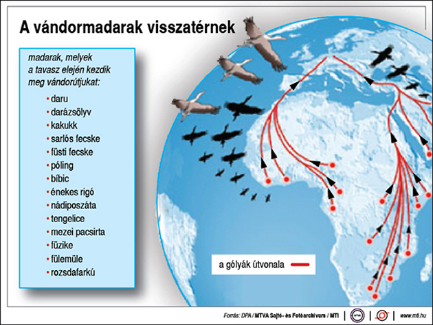 A vándormadarak vonulása (Forrás: MTI)