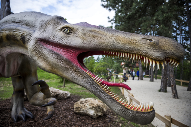 Egy Spinosaurus életnagyságú mása a veszprémi őslényparkban (MTI Fotó: Bodnár Boglárka)