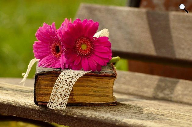 Könyv, virág, gerbera (Fotó: pixabay.com)
