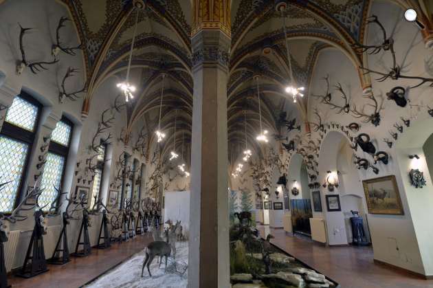 Trófeagyűjtemény az 1896. június 20-án alapított Magyar Mezőgazdasági Múzeumban, a Városligetben (MTI Fotó: Máthé Zoltán)