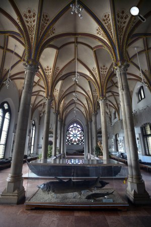 A gótikus szárny az 1896. június 20-án alapított Magyar Mezőgazdasági Múzeumban, a Városligetbe (MTI Fotó: Máthé Zoltán)