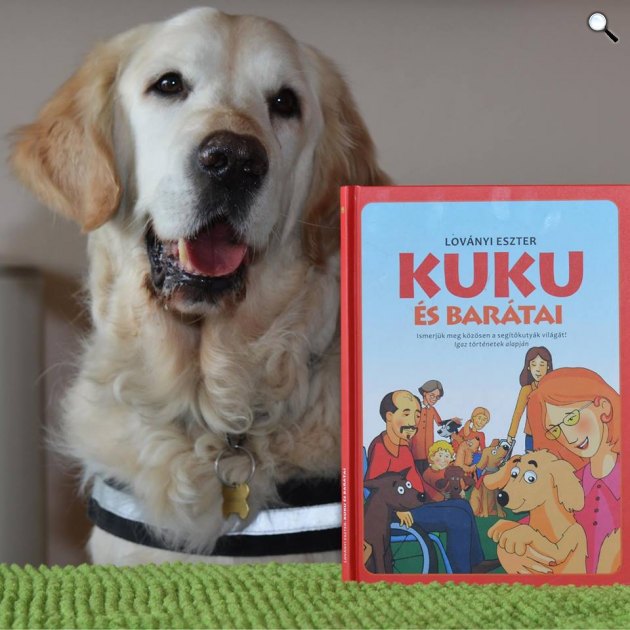 Kuku segítőkutya