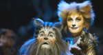 Andrew Lloyd Webber: CATS - Macskák musical (Fotó: Alessandro Pinna)