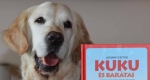 Kuku hangjelző kutya