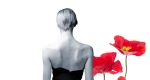 Evita - musical poszter