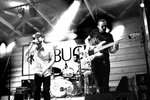 Muriel a Kobuci Kertben, Óbuda (Fotó: Kleb Zsófi)