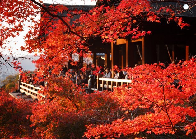 Japán, Kiotó (Fotó: Japánspecialista)