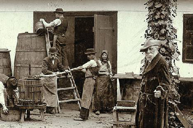 Jókai Mór (1825-1904) író a Svábhegyen szüret idején, 1898 (Fotó: PIM)
