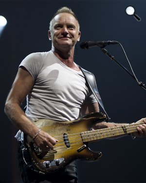 Sting (Fotó:listal.com)
