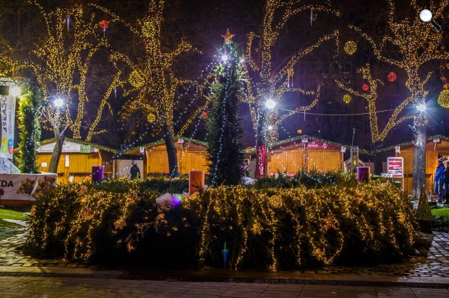 Advent Budapesten karácsonyfa, Budapest (Fotó: Flyerz Média)