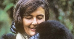 Dian Fossey (1932-1985) etológus (Fotó: biography.com)
