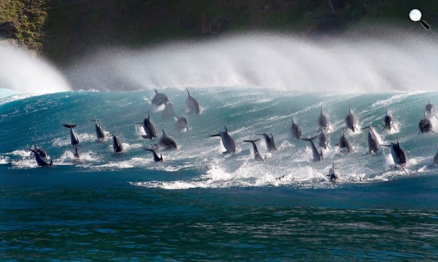 David Attenborough - A kék bolygó 2 (Fotó: Steve Benjamin/BBC/PA)