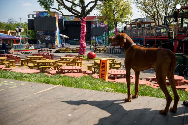 Budapest Park, Budapest (MTI Fotó: Balogh Zoltán)