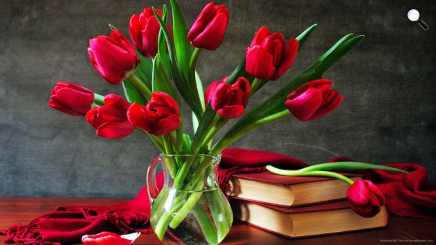 Tulipánok könyvekkel (Fotó: pixabay.com)